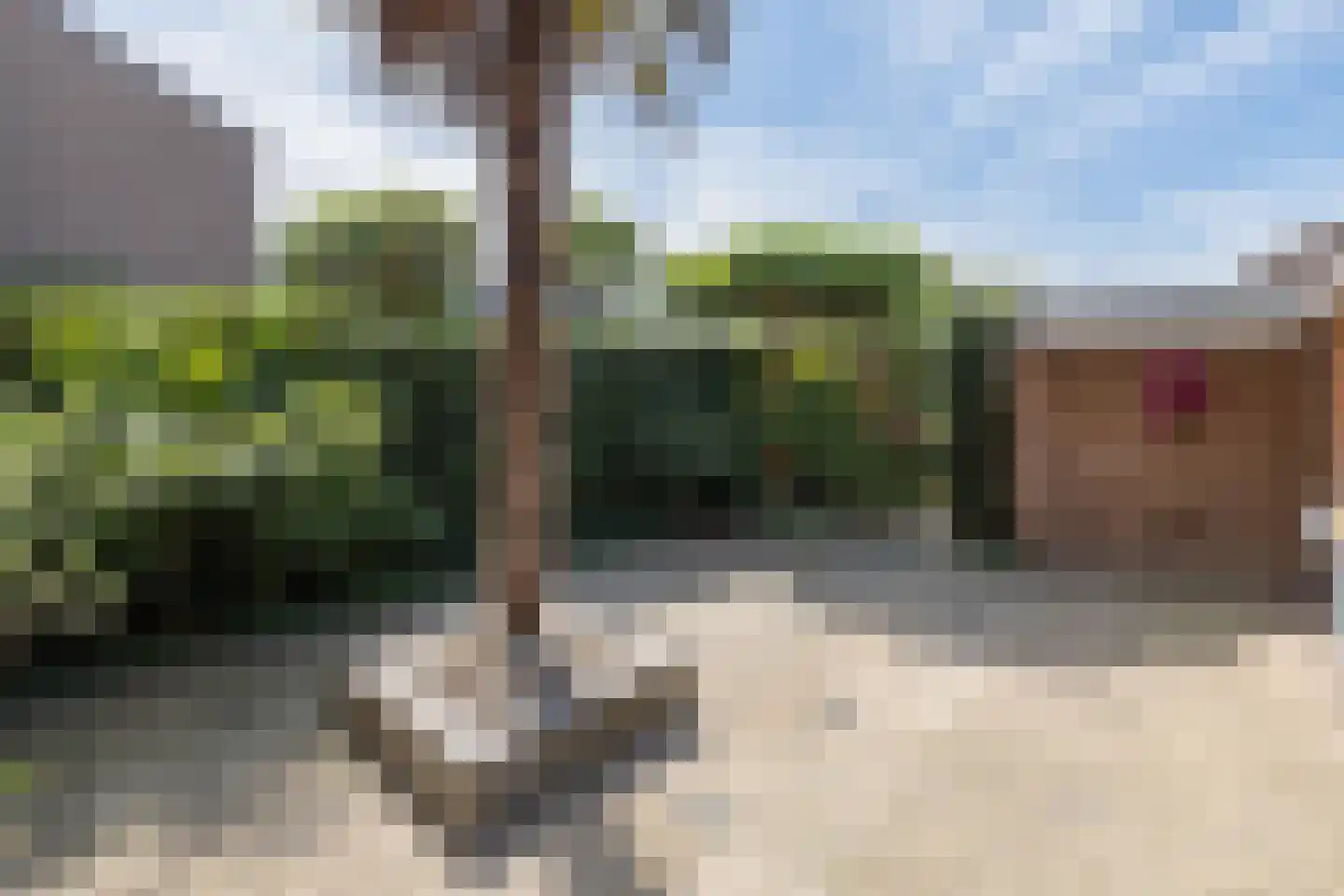 Doornenburg 31 Barneveld thumbnail 46