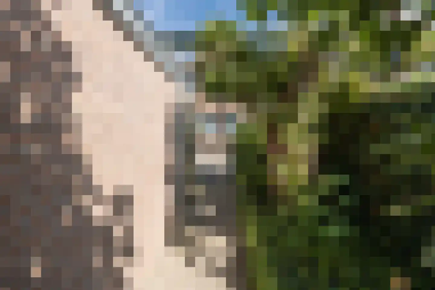 Doornenburg 31 Barneveld thumbnail 49