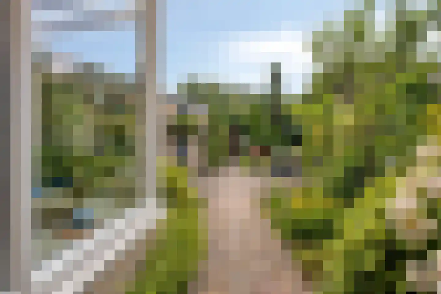 Doornenburg 31 Ugchelen thumbnail 16