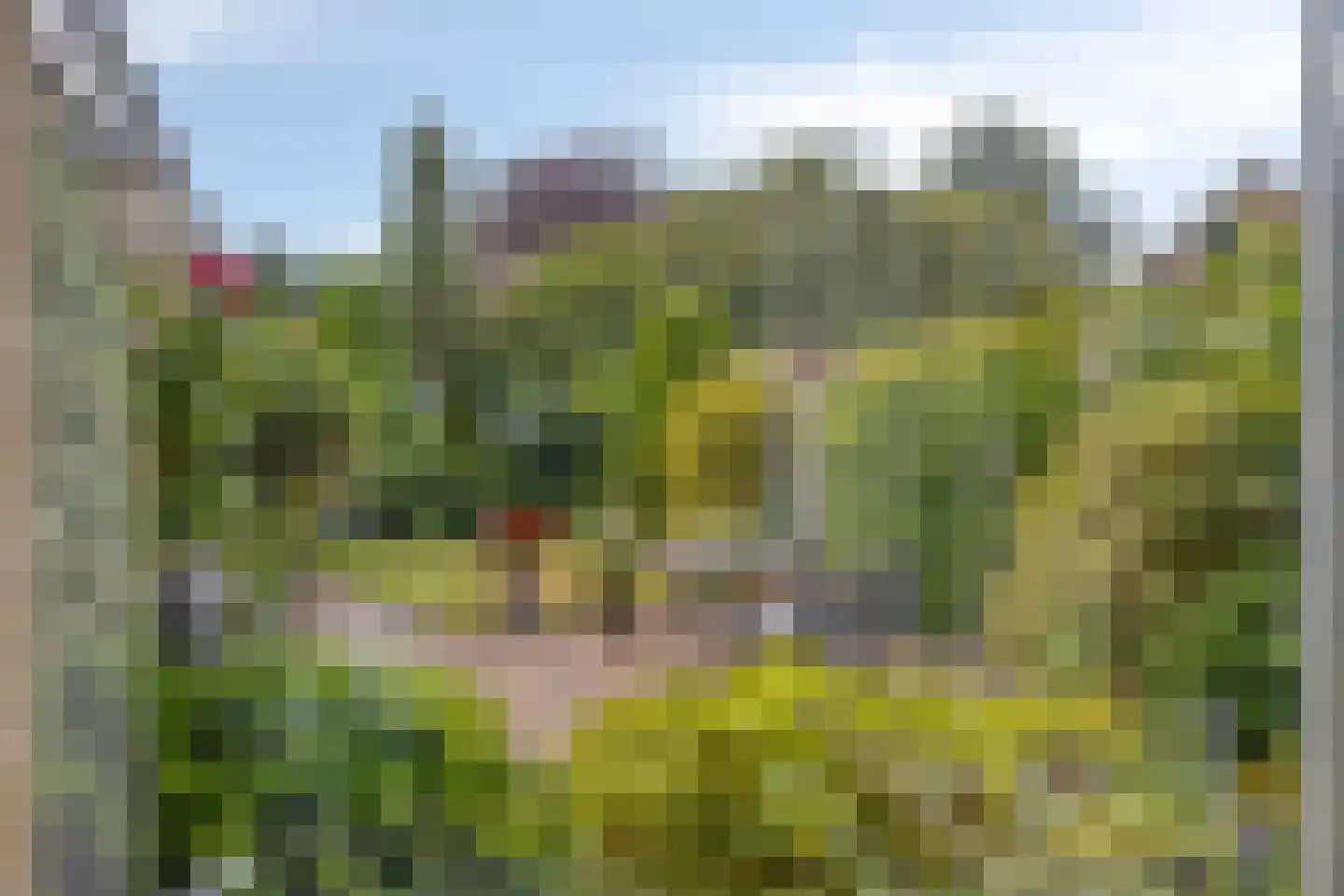 Doornenburg 31 Ugchelen thumbnail 18