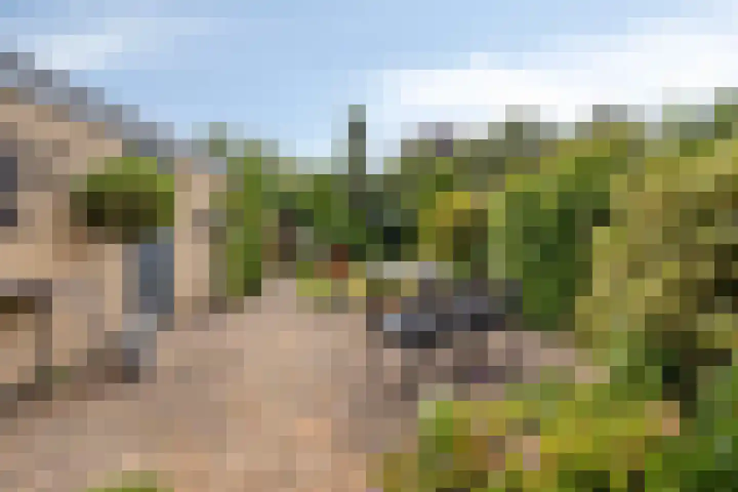 Doornenburg 31 Ugchelen thumbnail 21