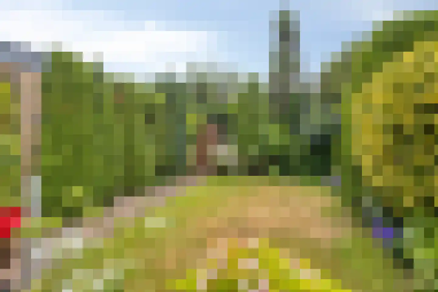 Doornenburg 31 Ugchelen thumbnail 22