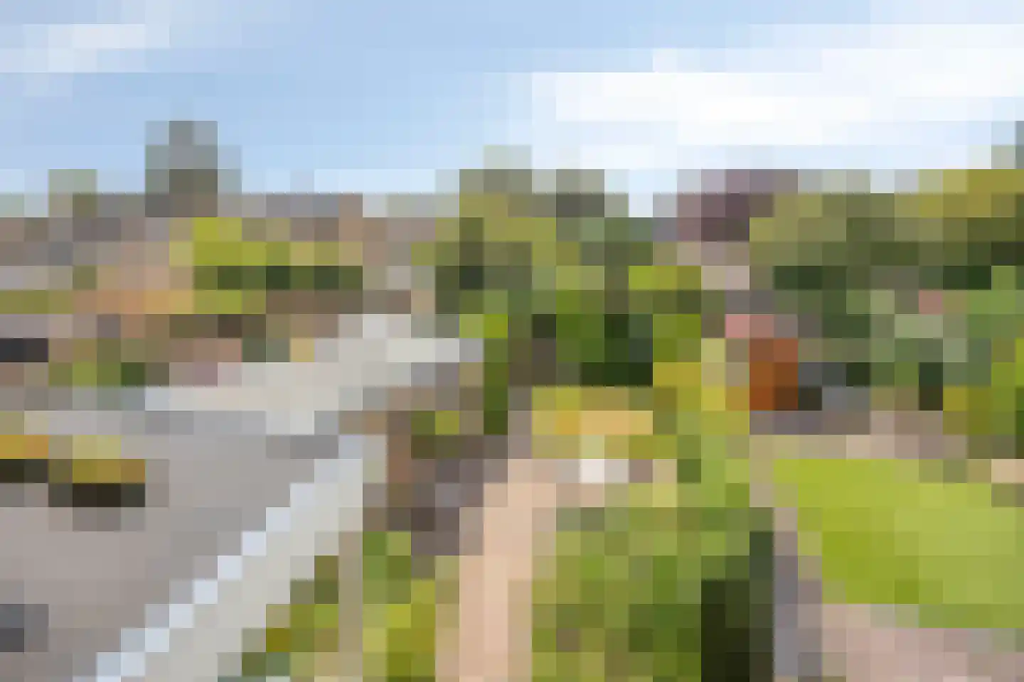Doornenburg 31 Ugchelen thumbnail 29