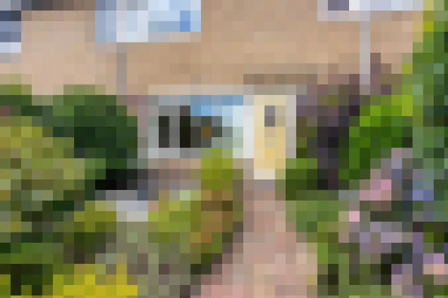 Doornenburg 31 Ugchelen thumbnail 4