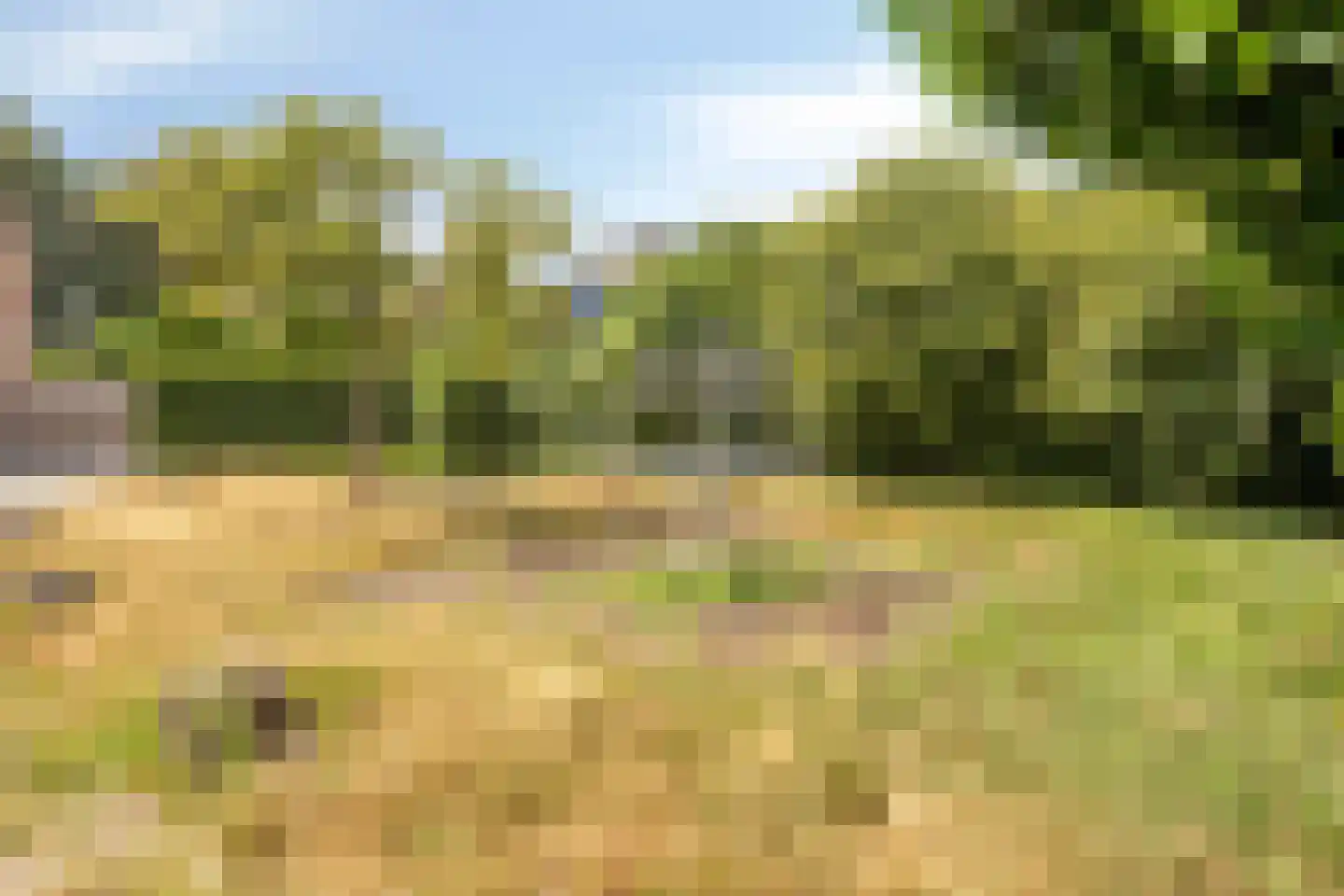 Doornenburg 31 Ugchelen thumbnail 46