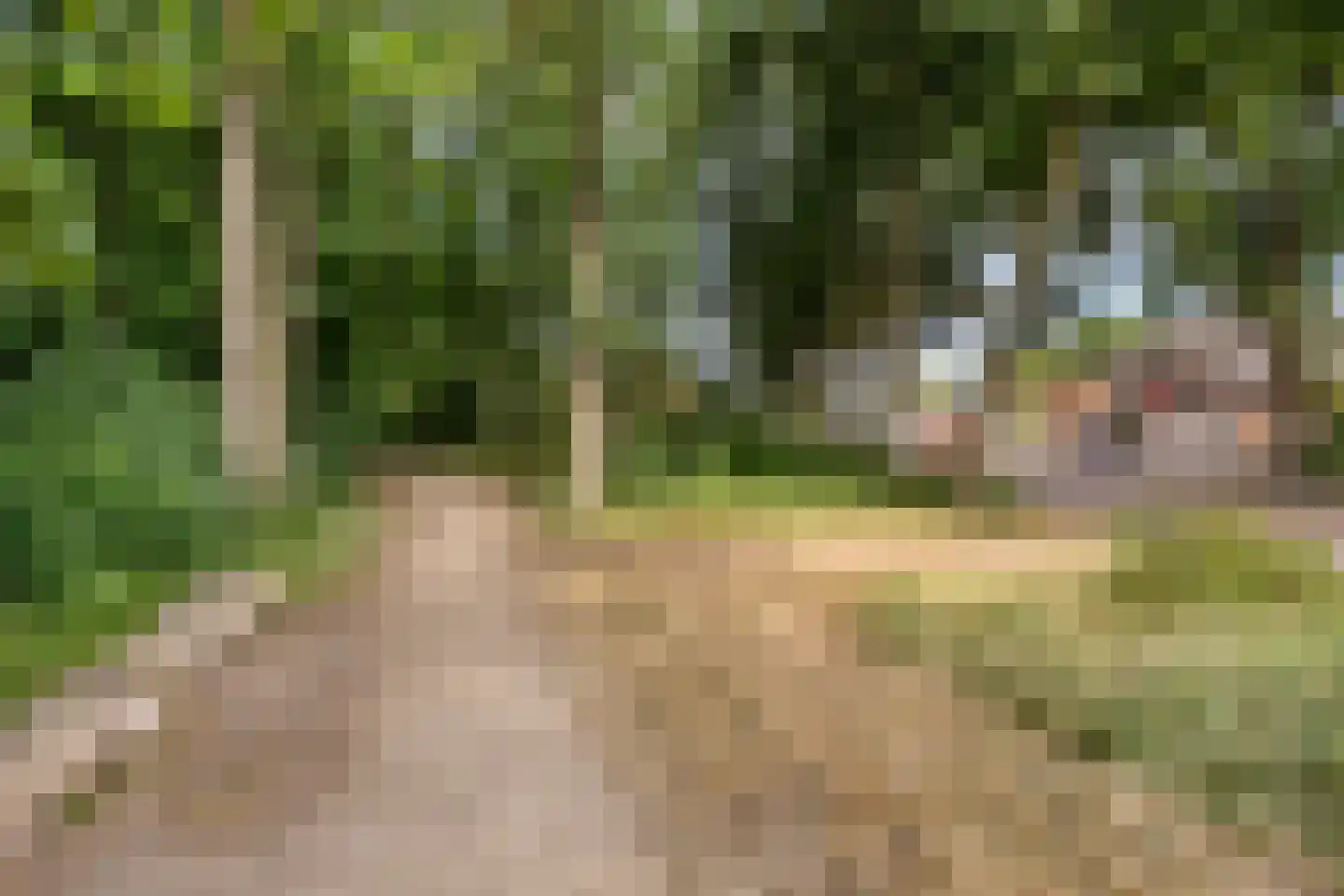 Doornenburg 31 Ugchelen thumbnail 49