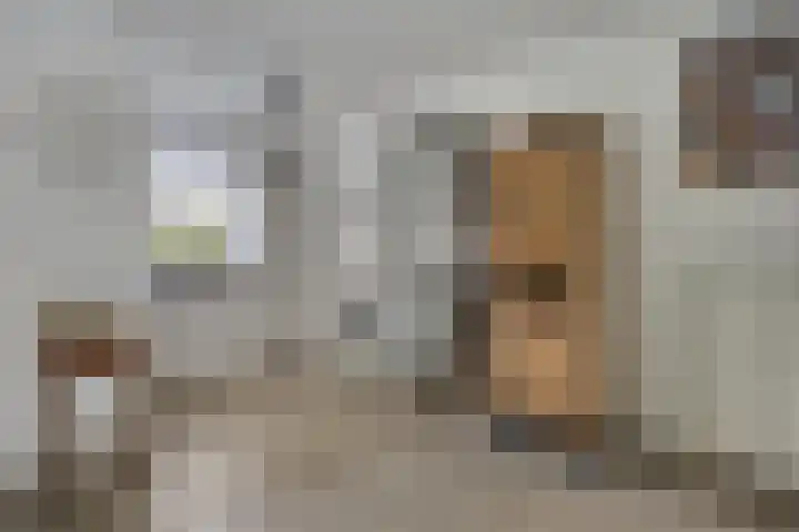 Doornenburg 33 Rotterdam thumbnail 18