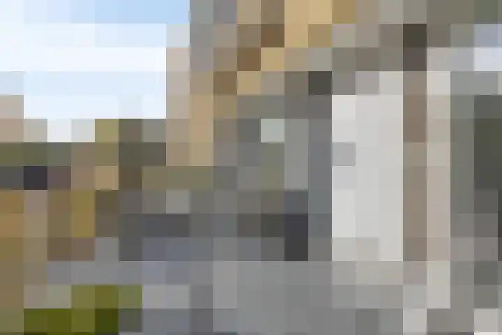 Doornenburg 33 Rotterdam thumbnail 31