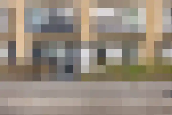 Doornenburg 33 Rotterdam thumbnail 33