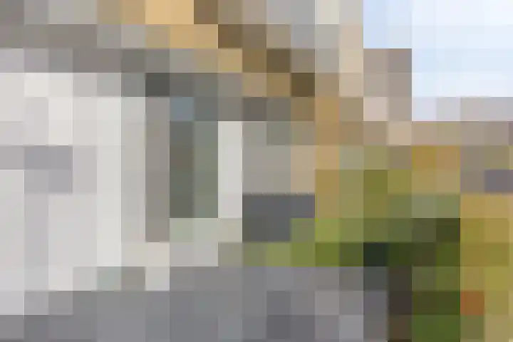 Doornenburg 33 Rotterdam thumbnail 34