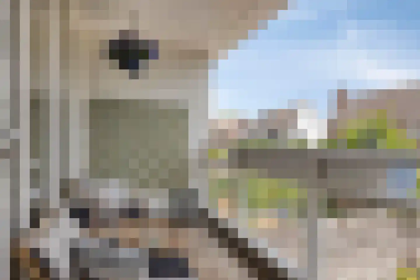 Doornenburg 40 Alphen aan den Rijn thumbnail 10