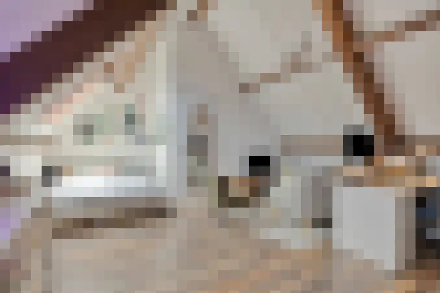 Doornenburg 40 Alphen aan den Rijn thumbnail 33