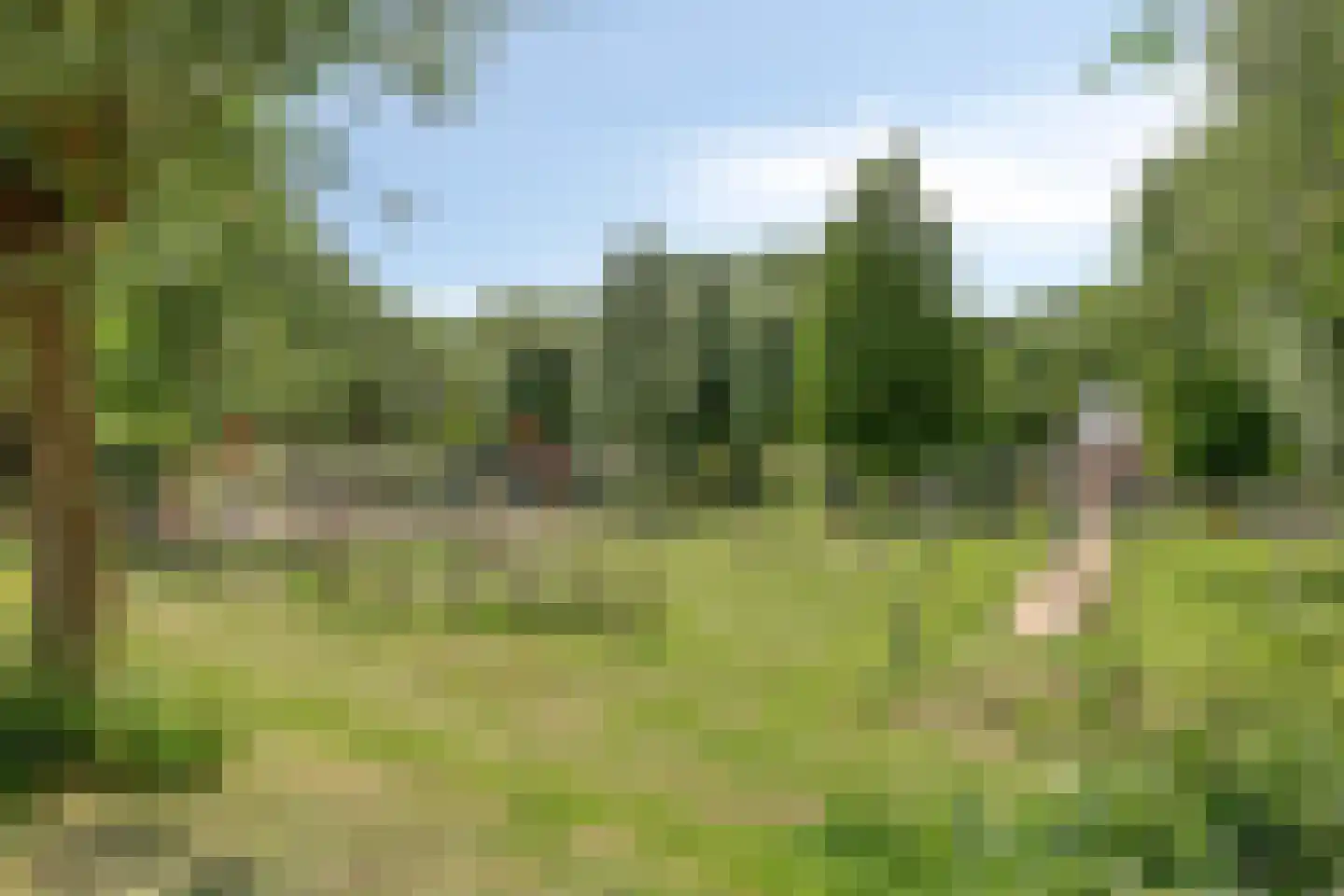 Doornenburg 40 Alphen aan den Rijn thumbnail 41