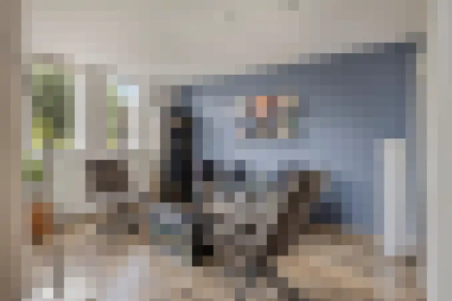Doornenburg 40 Alphen aan den Rijn thumbnail 7