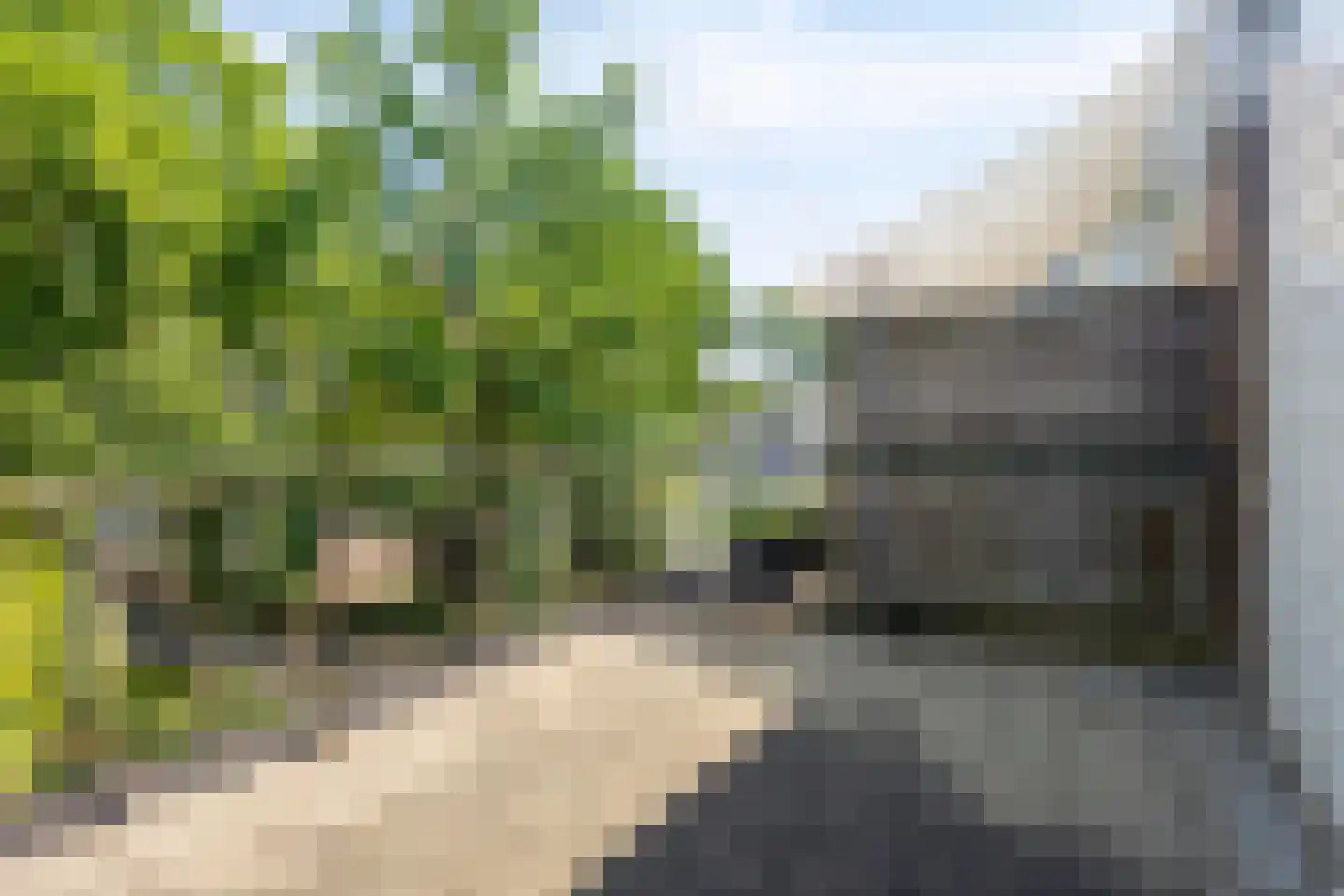 Doornenburg 456 Deventer thumbnail 25