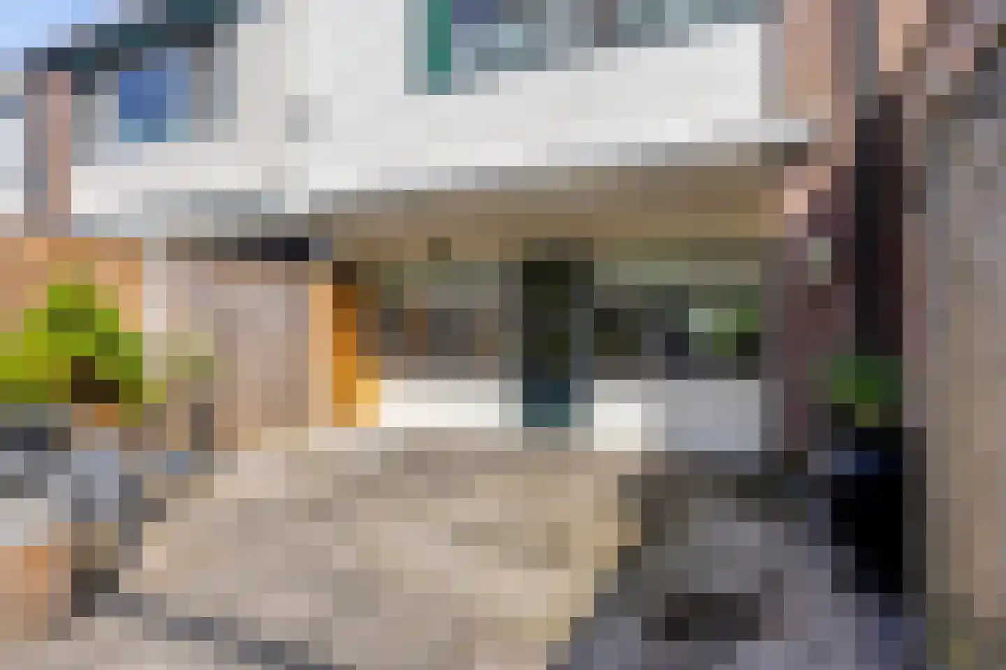 Doornenburg 456 Deventer thumbnail 30