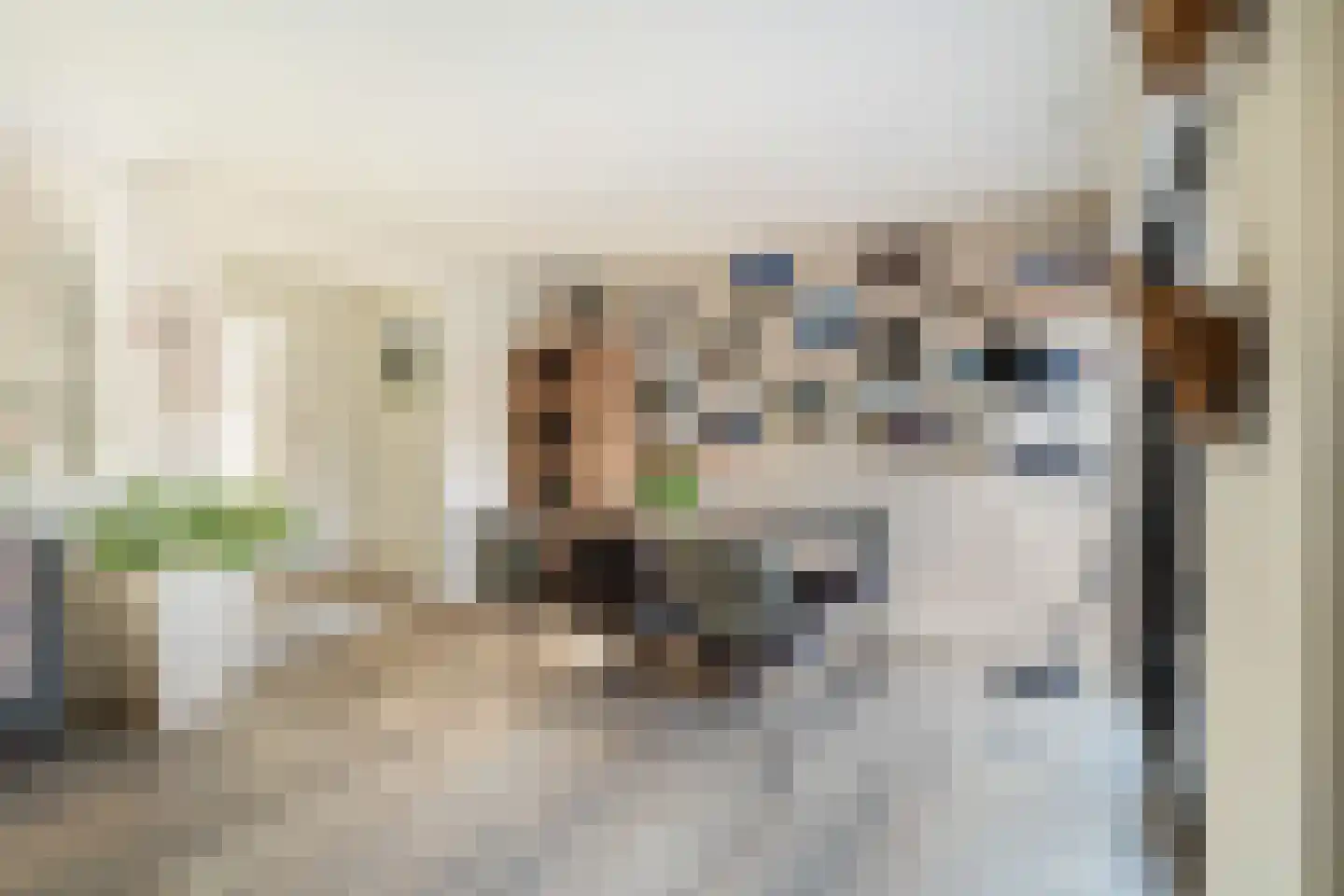 Doornenburg 5 Alphen aan den Rijn thumbnail 27