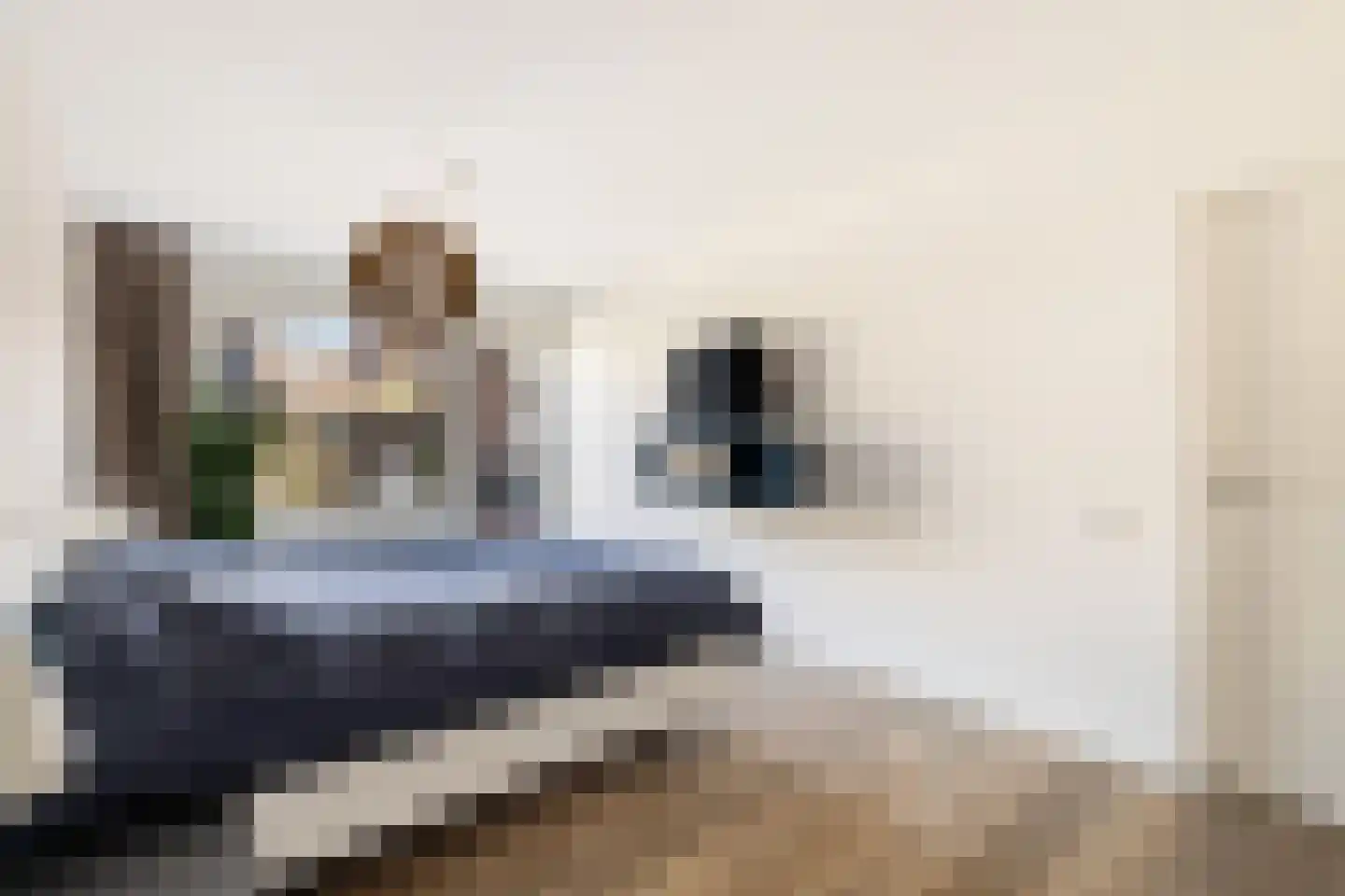 Doornenburg 5 Alphen aan den Rijn thumbnail 43
