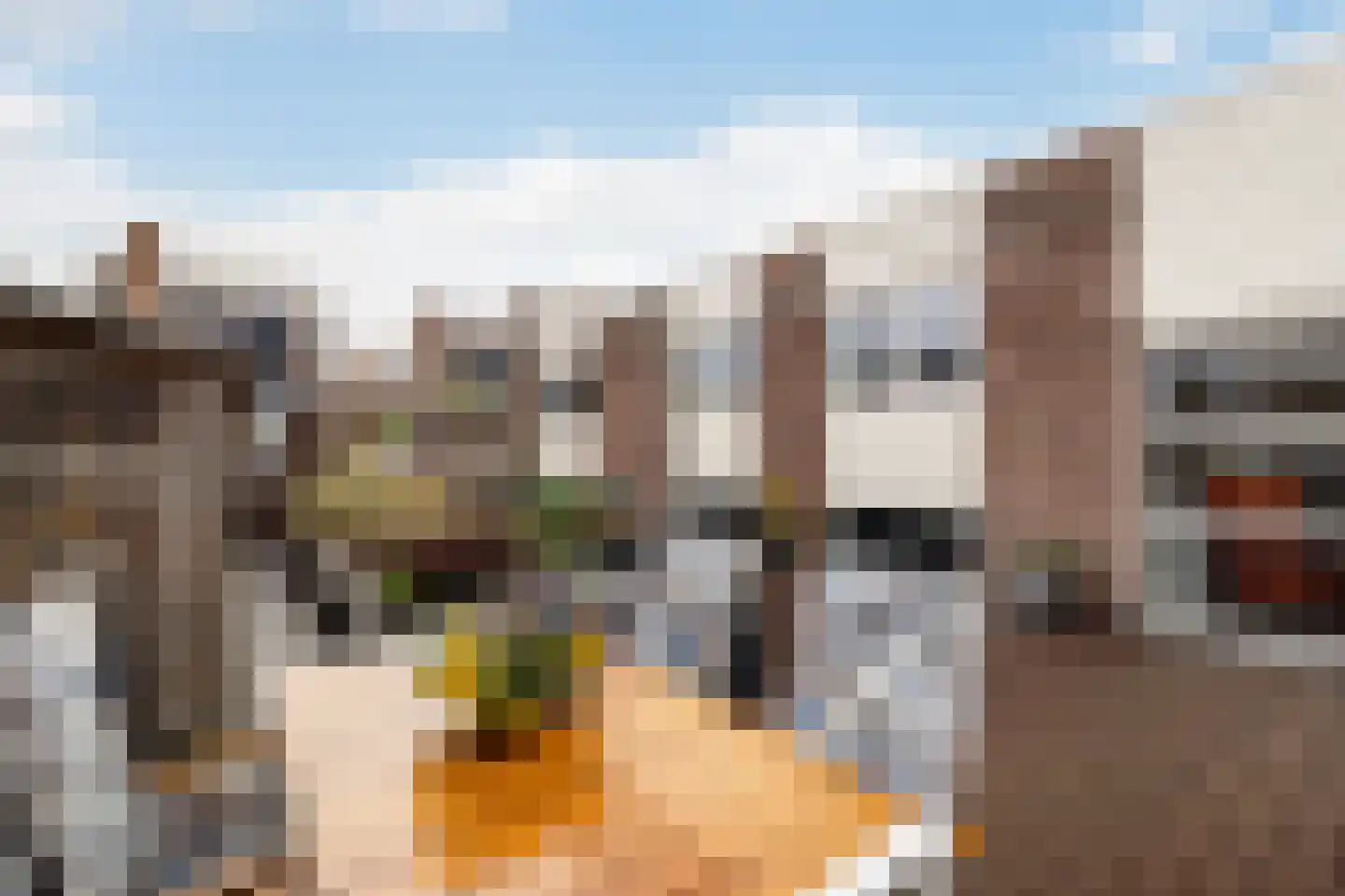 Doornenburg 5 Alphen aan den Rijn thumbnail 56