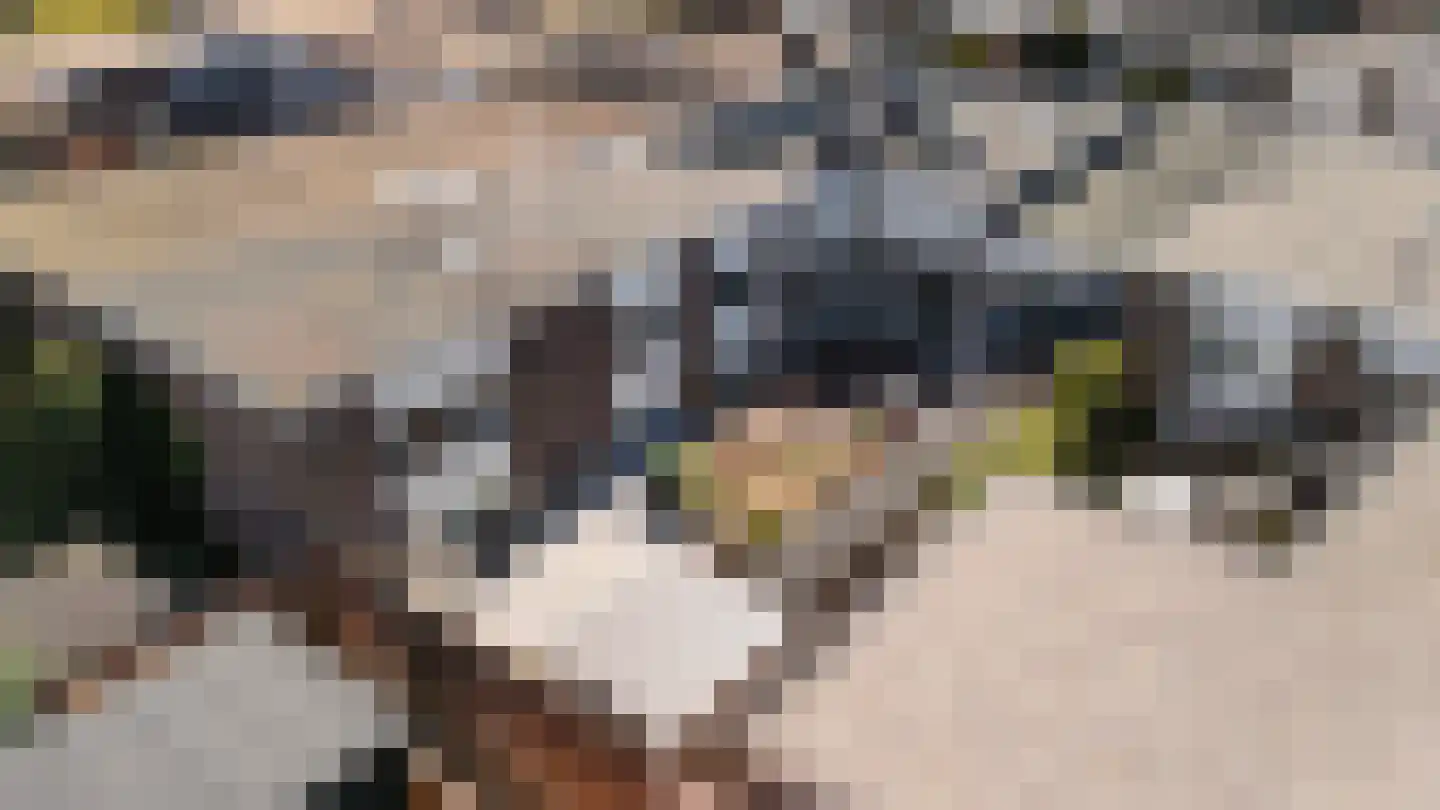 Doornenburg 5 Alphen aan den Rijn thumbnail 77