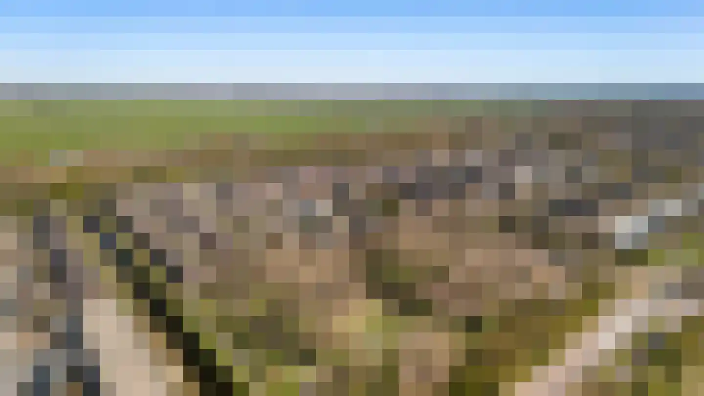 Doornenburg 5 Alphen aan den Rijn thumbnail 80