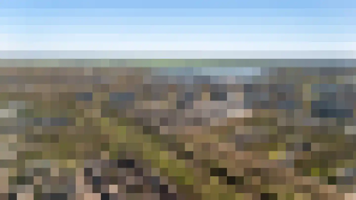 Doornenburg 5 Alphen aan den Rijn thumbnail 81
