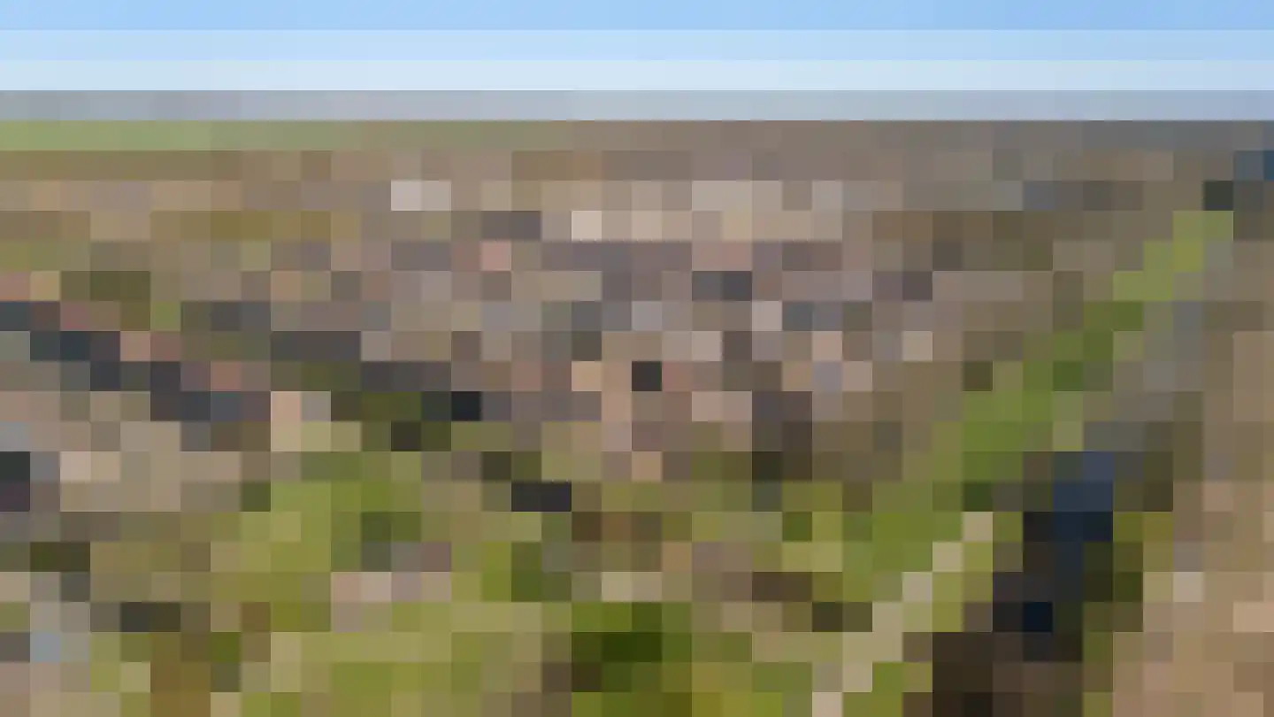 Doornenburg 5 Alphen aan den Rijn thumbnail 82
