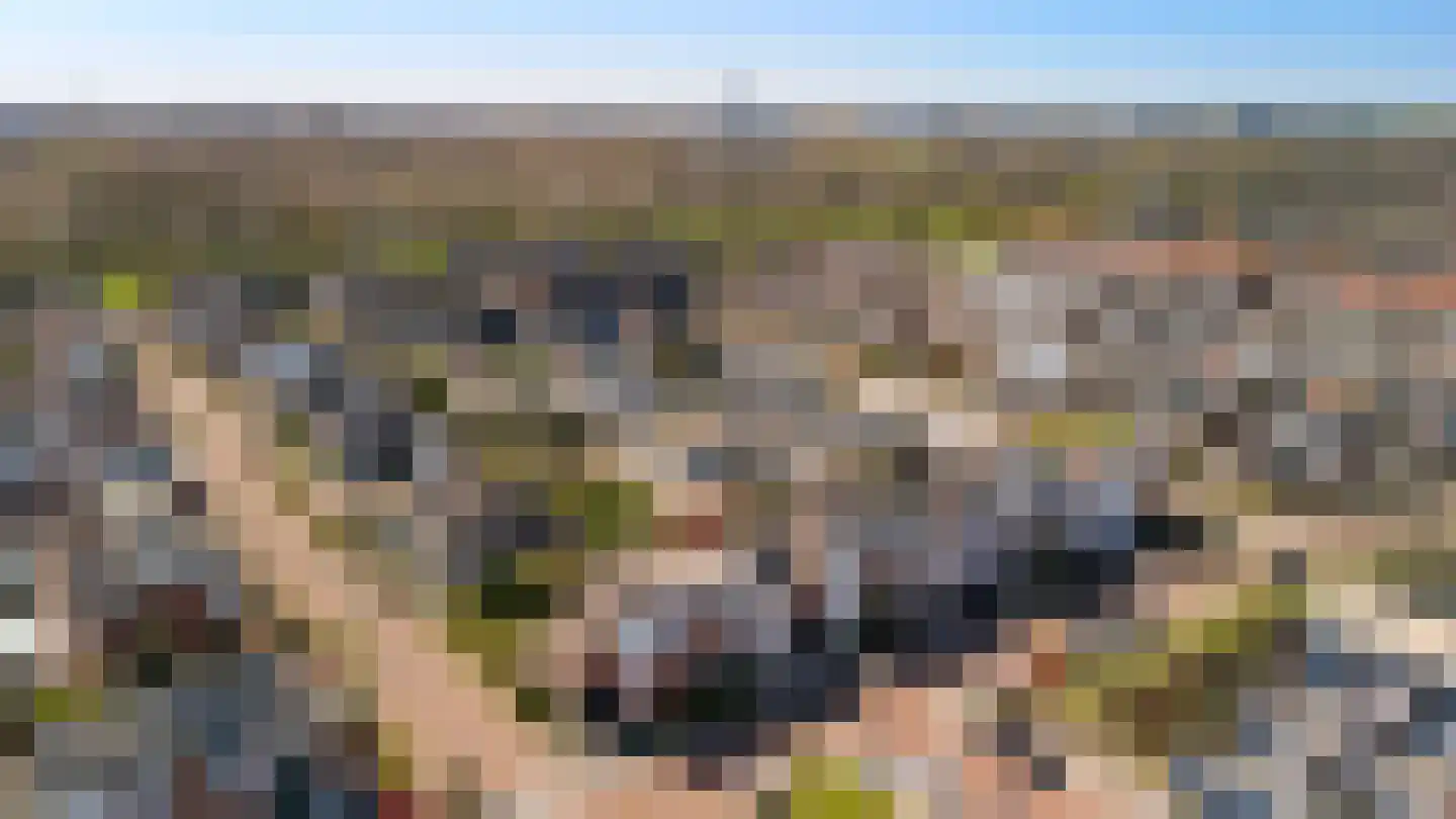Doornenburg 5 Alphen aan den Rijn thumbnail 84