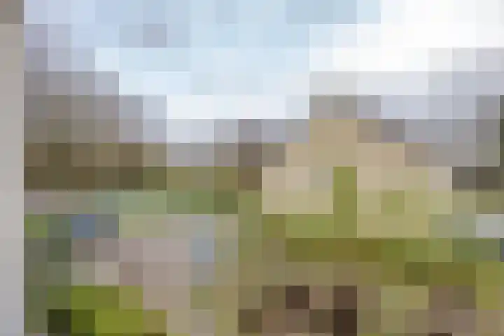 Doornenburg 5 Rotterdam thumbnail 18