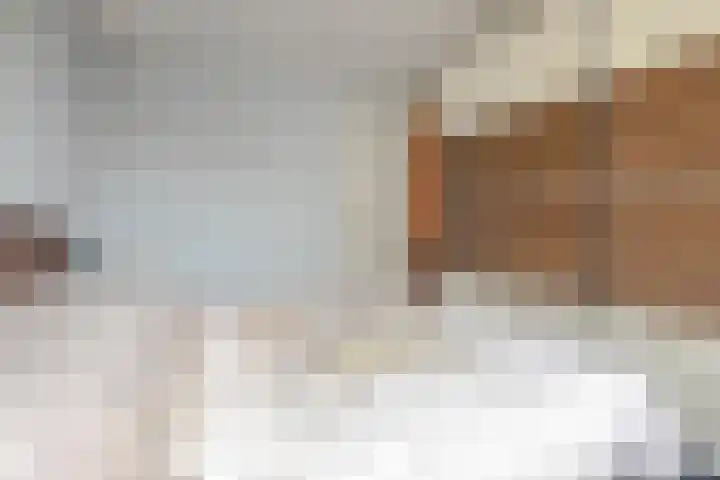 Doornenburg 5 Rotterdam thumbnail 21