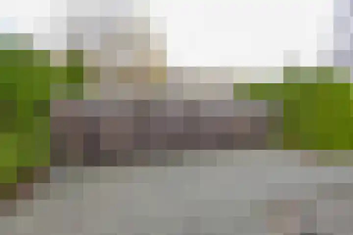 Doornenburg 5 Rotterdam thumbnail 30