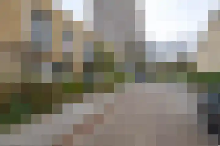 Doornenburg 5 Rotterdam thumbnail 31