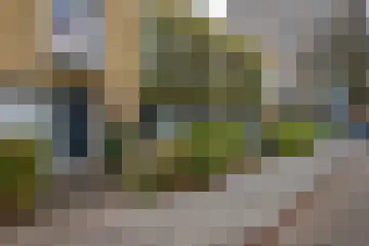 Doornenburg 5 Rotterdam thumbnail 6