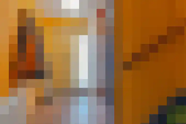 Doornenburg 5 Rotterdam thumbnail 8