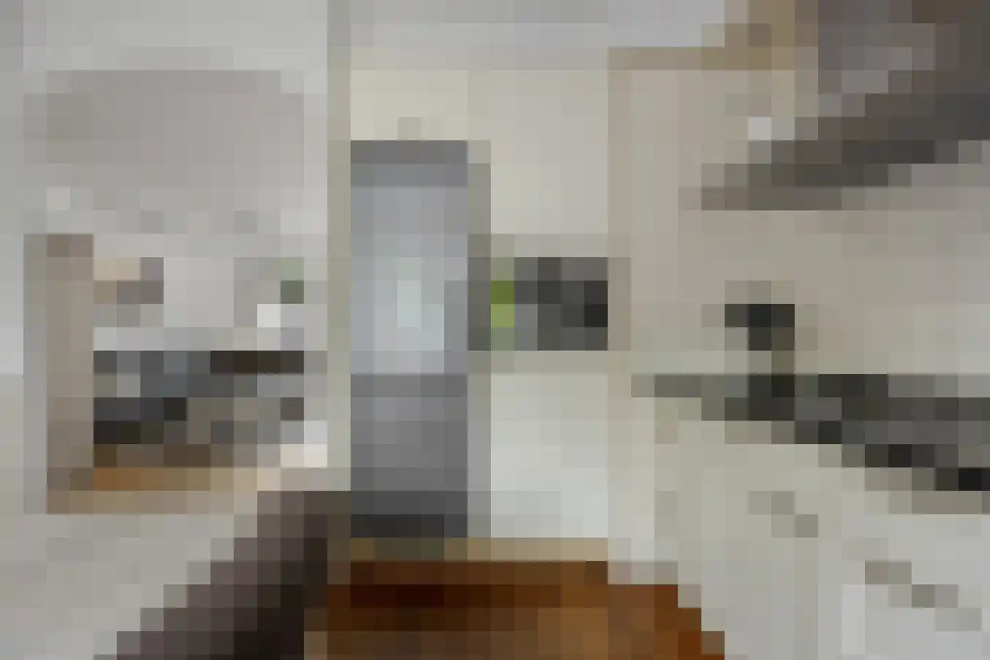 Doornenburg 52 Barneveld thumbnail 16