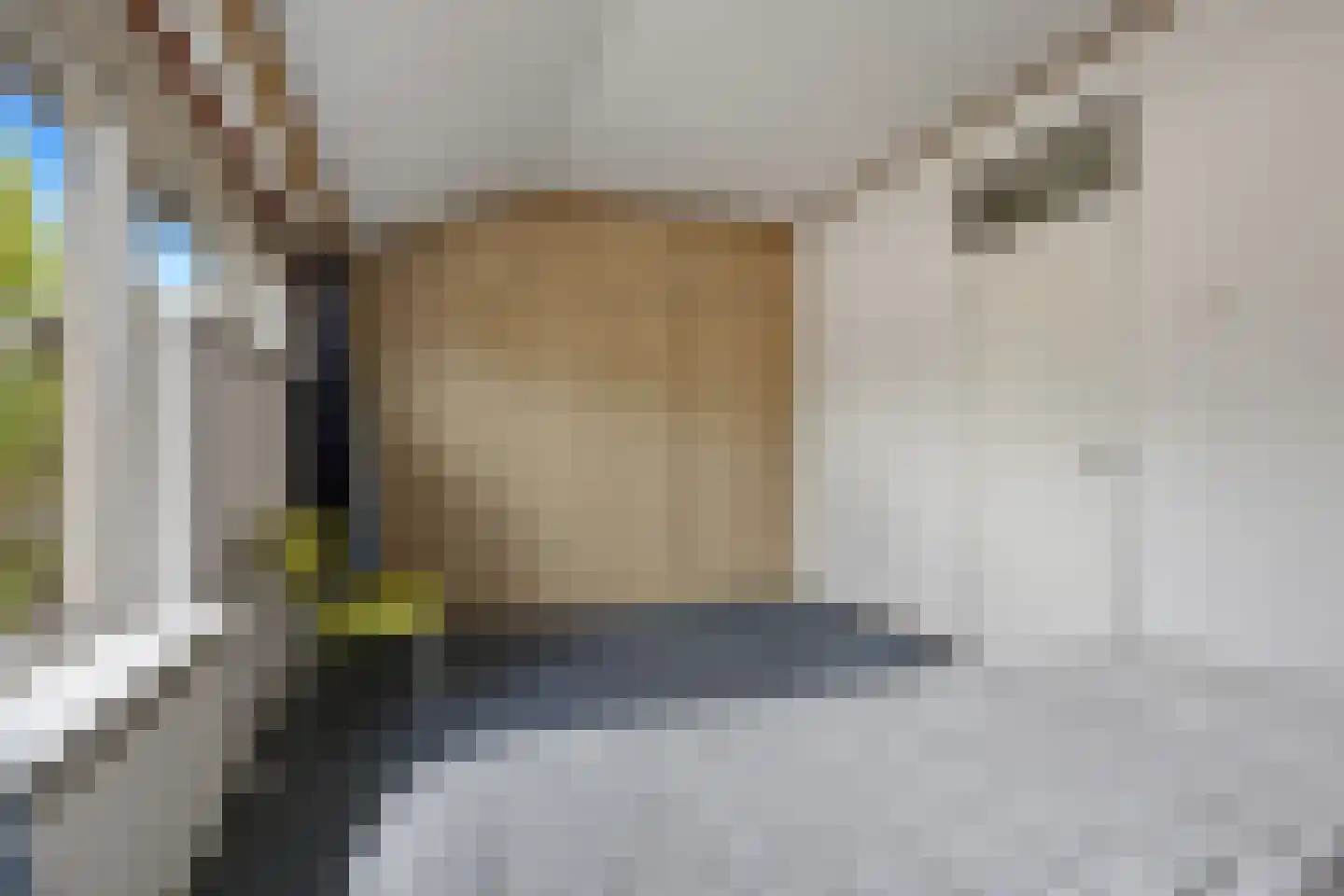 Doornenburg 52 Barneveld thumbnail 19
