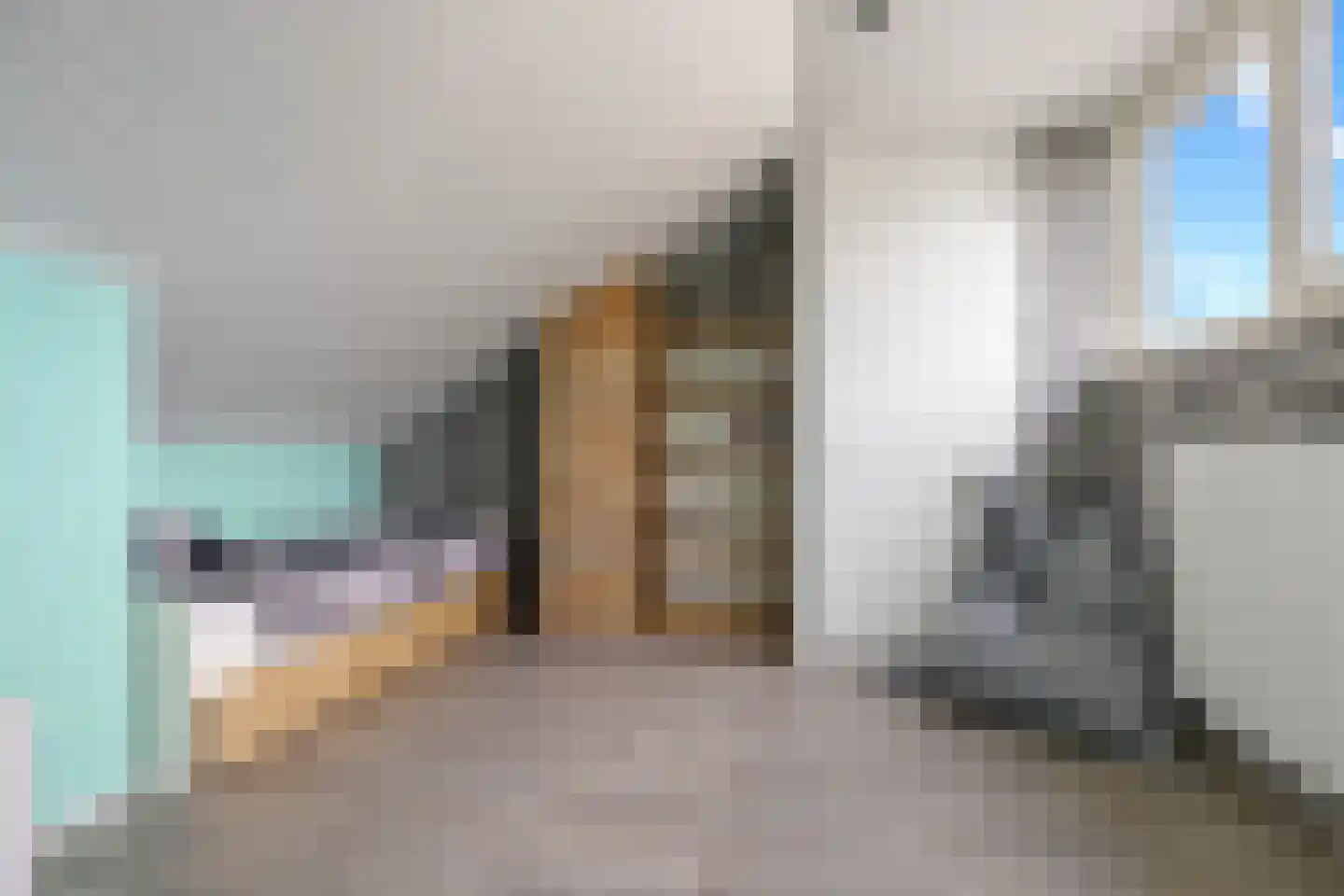 Doornenburg 52 Barneveld thumbnail 30
