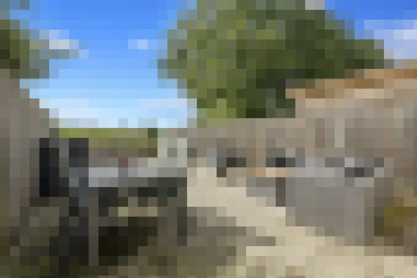 Doornenburg 52 Barneveld thumbnail 33