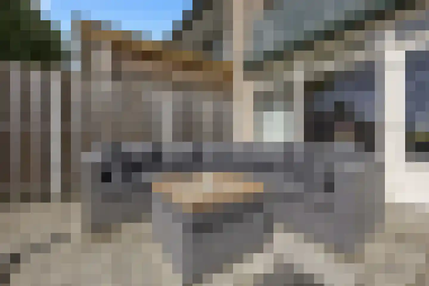 Doornenburg 52 Barneveld thumbnail 34