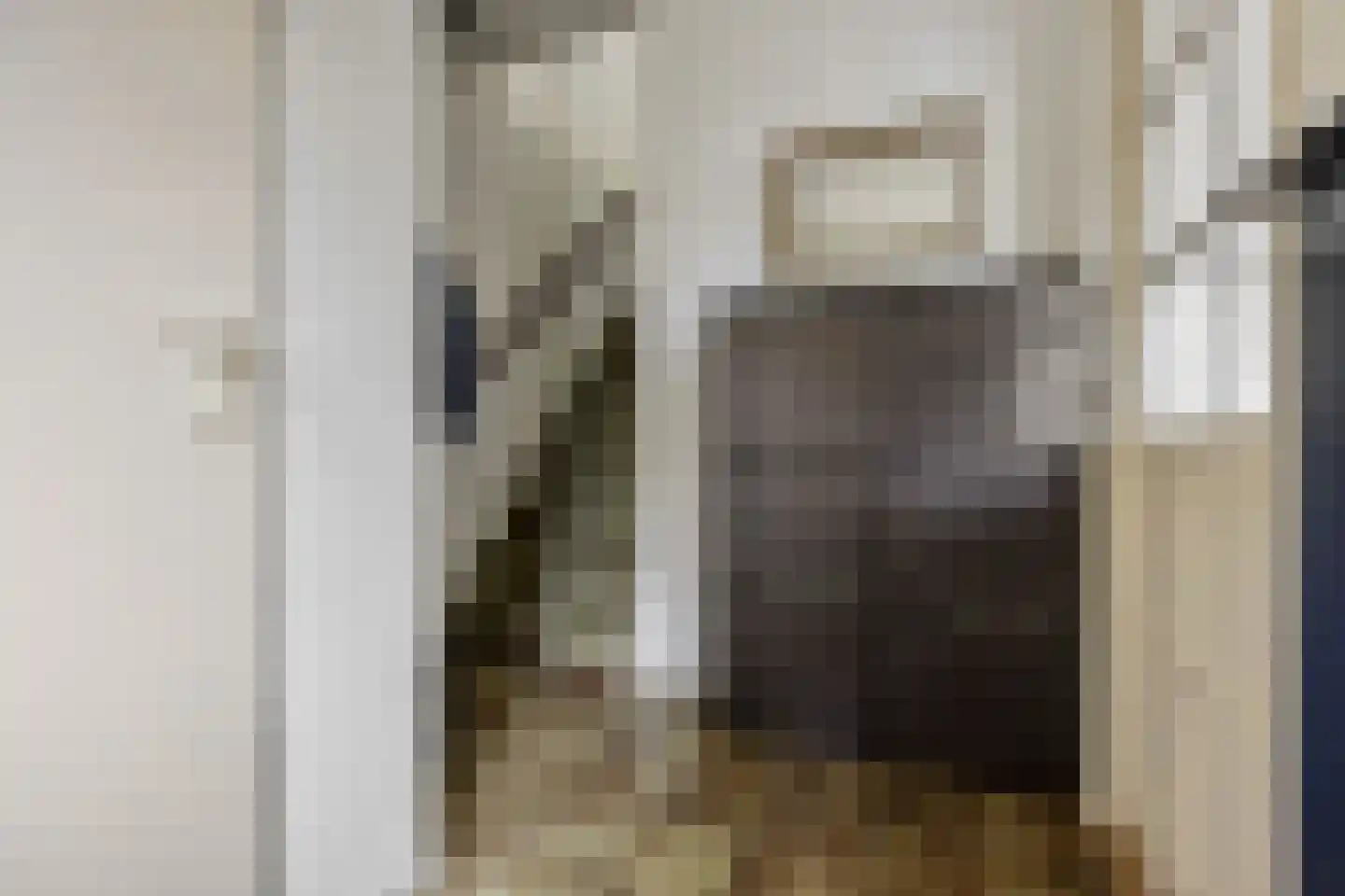 Doornenburg 52 Barneveld thumbnail 6