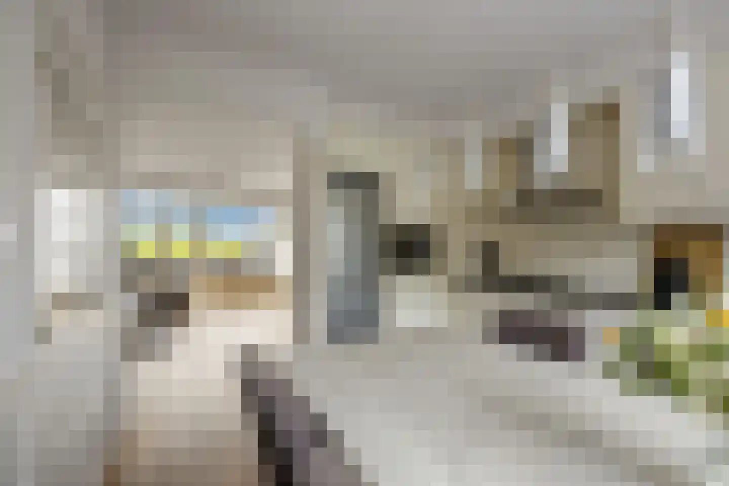 Doornenburg 52 Barneveld thumbnail 8
