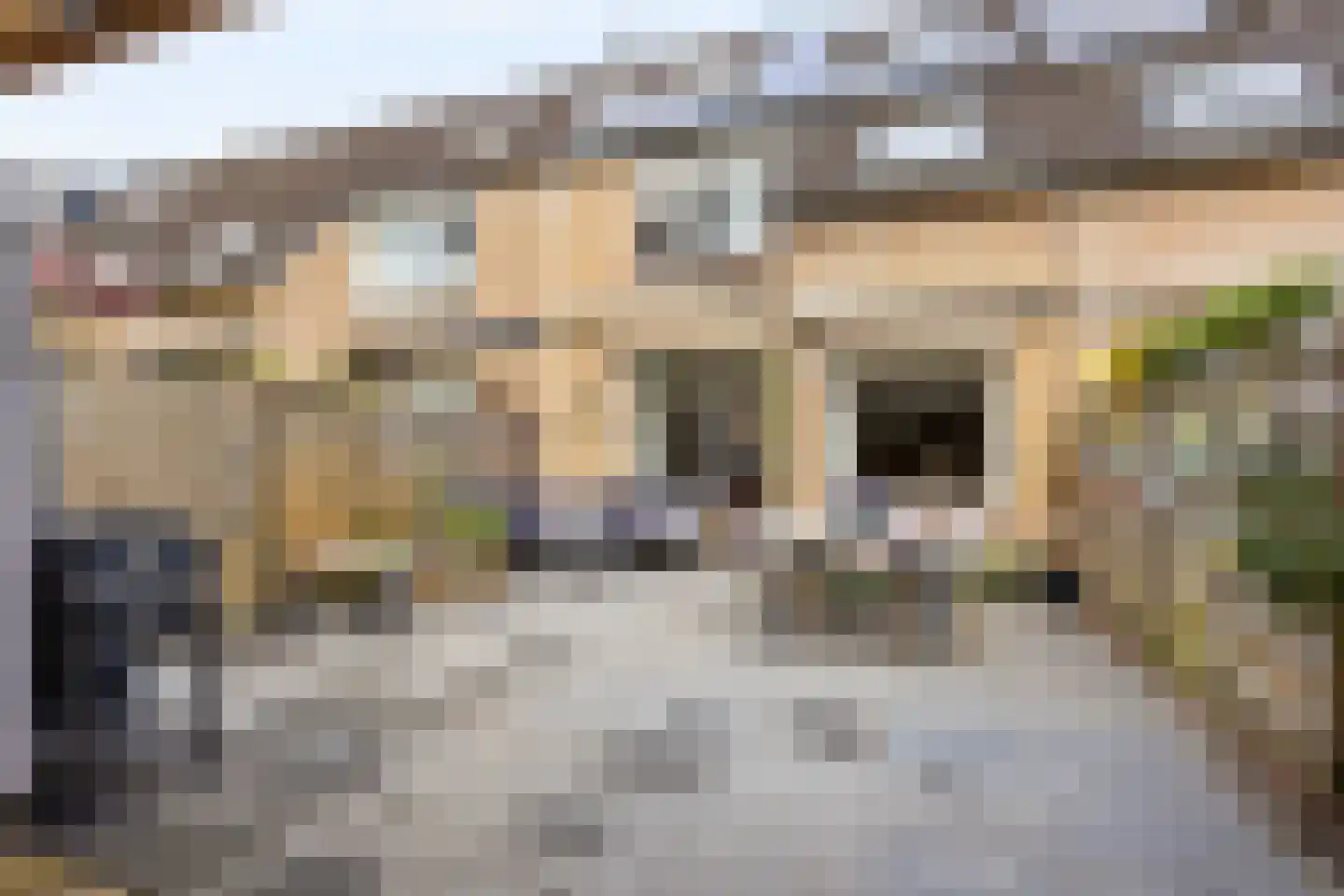Doornenburg 52 Leidschendam thumbnail 15