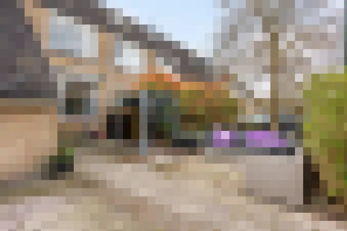 Doornenburg 52 Leidschendam thumbnail 32