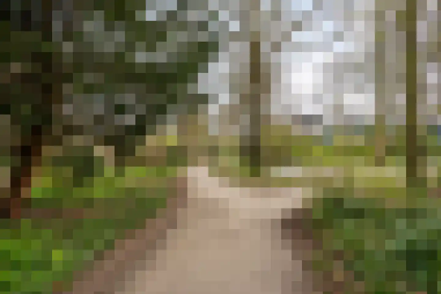 Doornenburg 52 Leidschendam thumbnail 38
