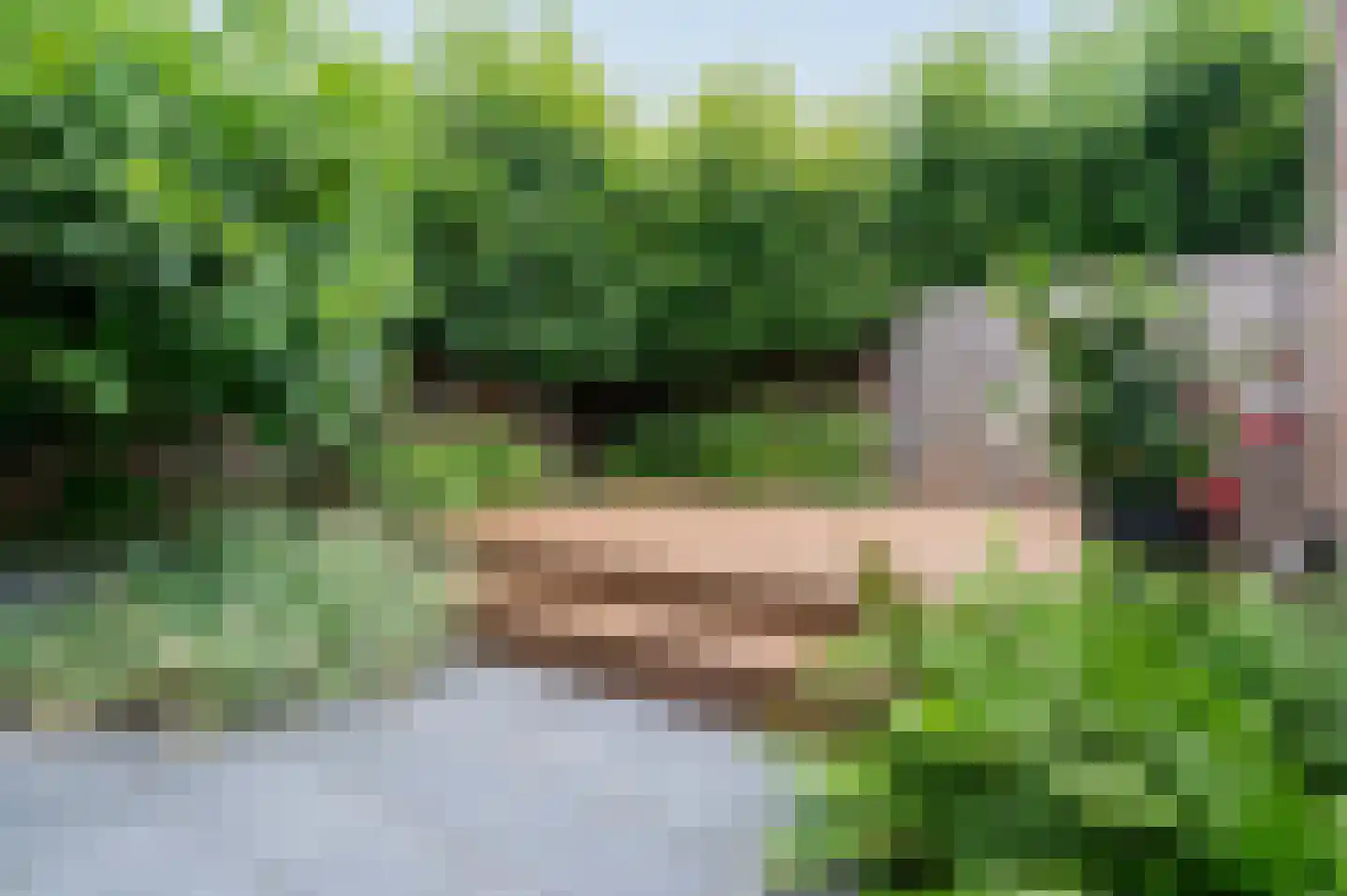 Doornenburg 6 Putten thumbnail 37