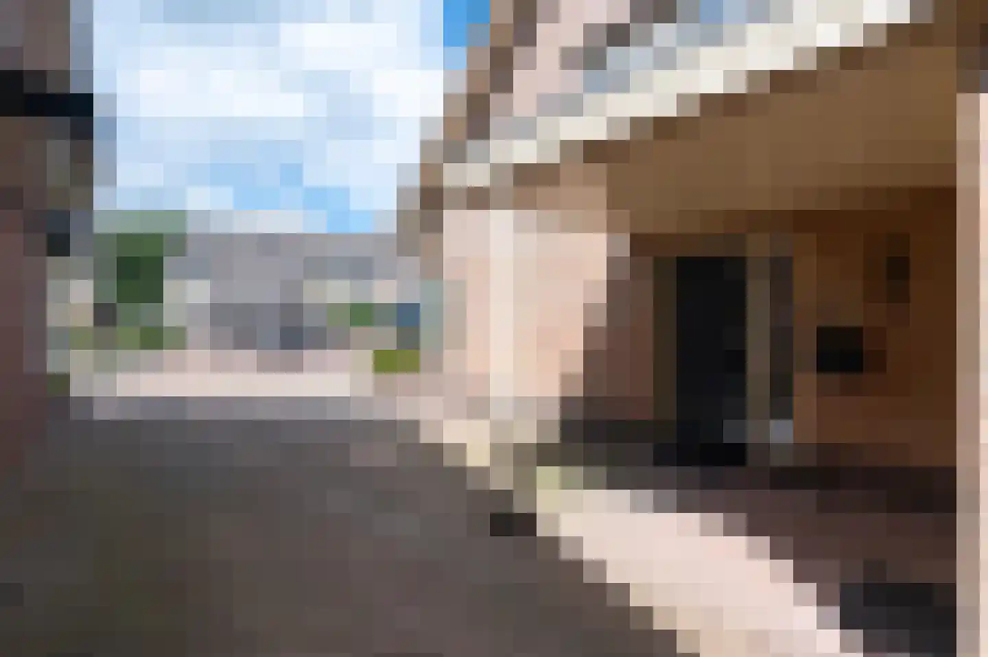 Doornenburg 6 Putten thumbnail 5