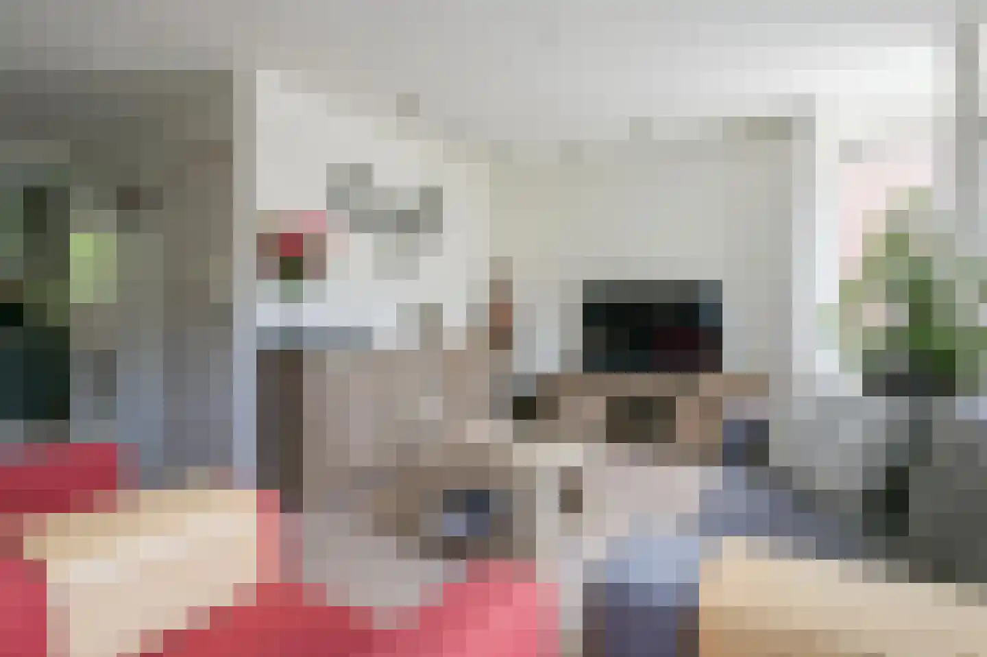 Doornenburg 6 Putten thumbnail 9