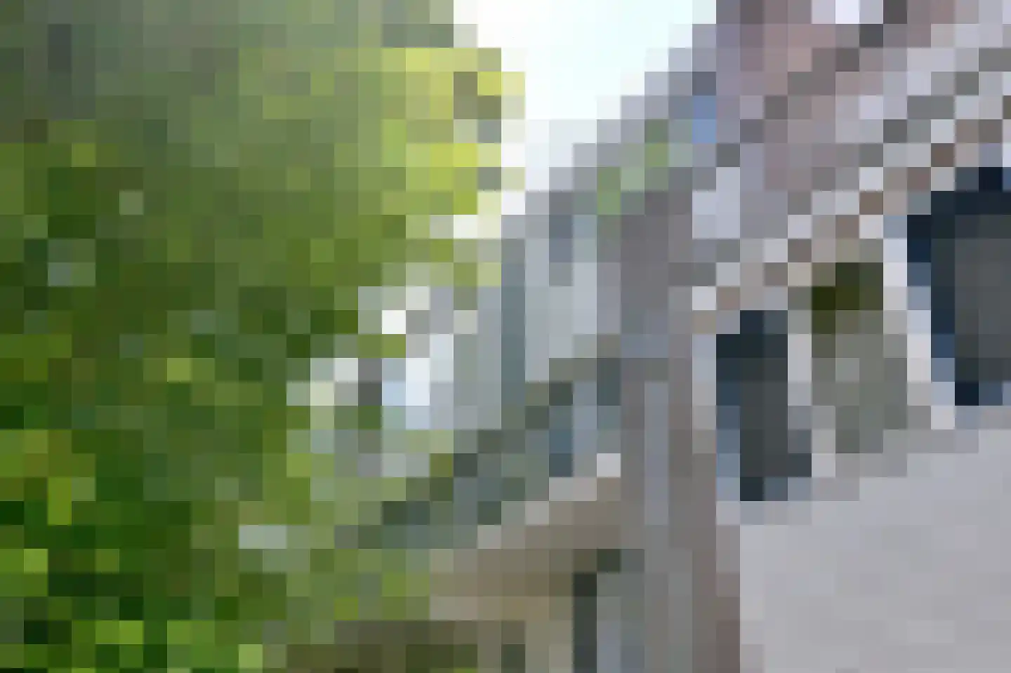 Doornenburg 612 Deventer thumbnail 31