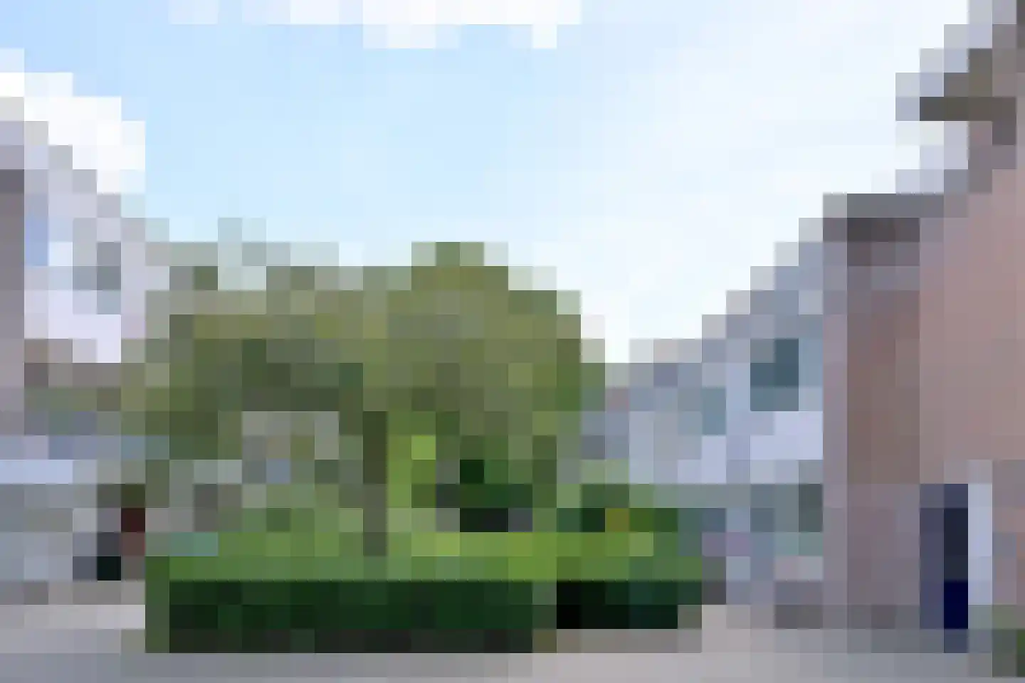 Doornenburg 612 Deventer thumbnail 32