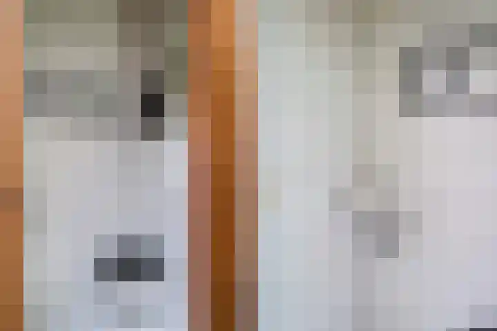 Doornenburg 7 Alphen aan den Rijn thumbnail 11